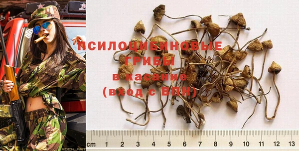 spice Армянск