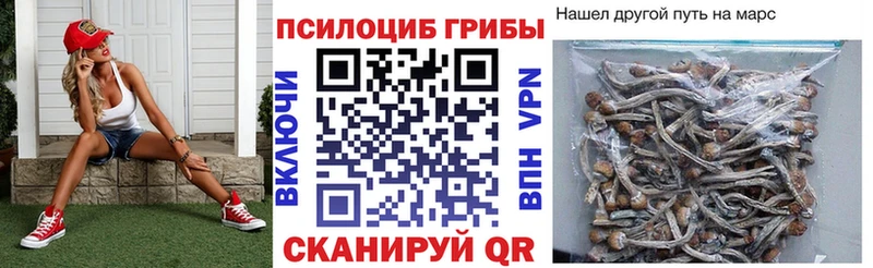 Галлюциногенные грибы Magic Shrooms  MEGA ссылки  Саянск 